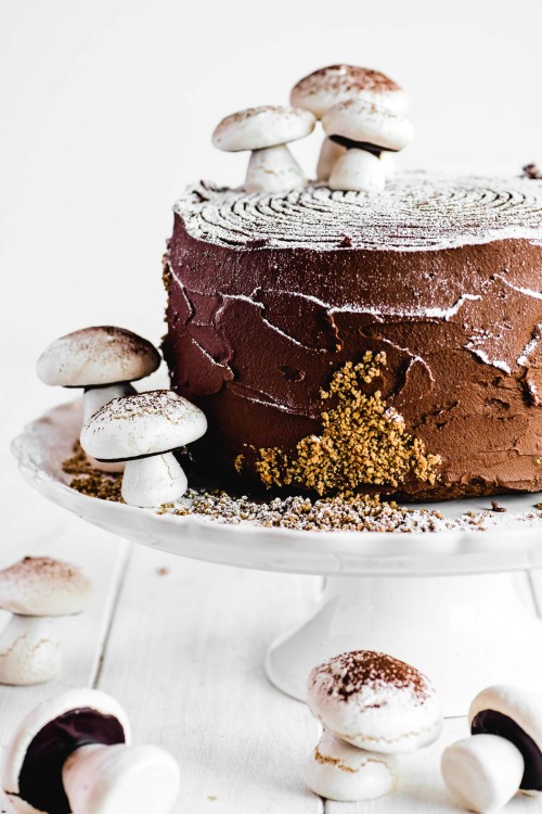 sweetoothgirl: Bûche de Noël Layer Cake