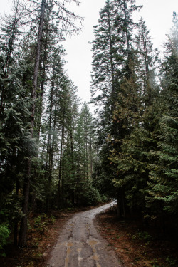 accio-forest: Freeman Lake, Idaho [credit]