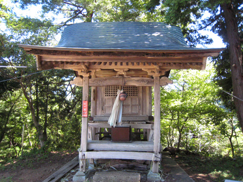 権現山（ごんげんやま、Mt.Gongen）標高565m、越前市（旧今立町）20110911松ケ嶽神社松ケ嶽神社由来案内板半鐘権現山山頂キバナコスモスこの山は山頂まで行かなくても、ハイキングコースとして