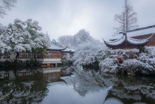 fuckyeahchinesegarden:Chinese garden in winter