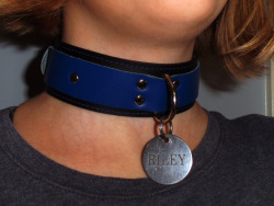 petitepets:  My pretty collar that says I