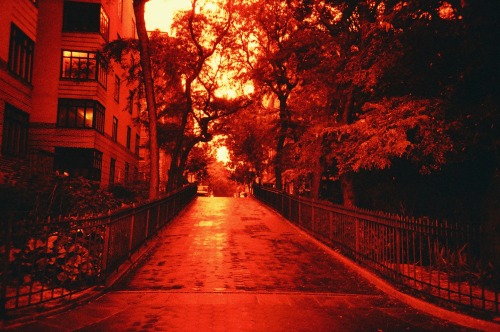 Brooklyn Heights