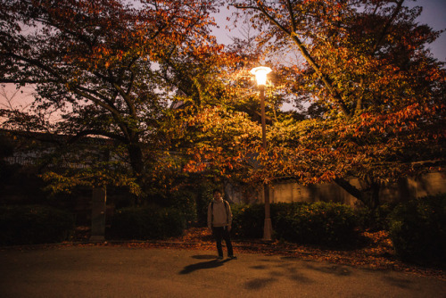 Sunday 5th November 2017. 17:30 Osaka Castle Park.We spent a couple of hours mooching around the par