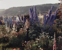 daymoonn:  A Blind Man in His Garden, Homer, Alaska 