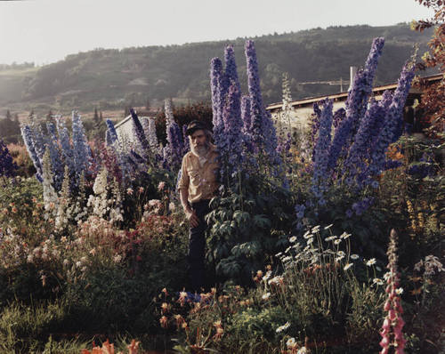 orux:A Blind Man in His Garden, Homer, Alaska