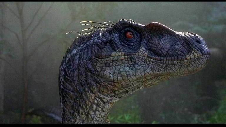 The Weird Unicorns World • Jurassic Park Velociraptors Through The First 