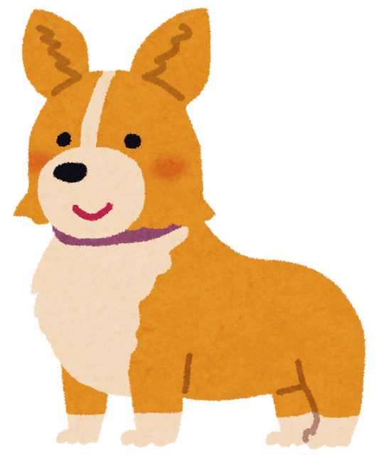 コーギーお尻 Tumblr Posts Tumbral Com コーギーお尻 Tumblr Posts Tumbral Com