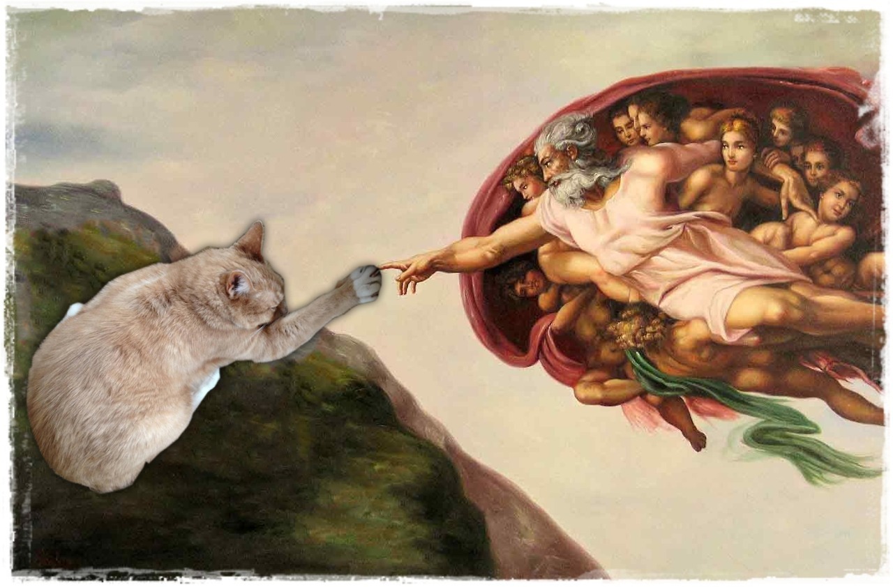 z-kitsch:  aussi con que moi 