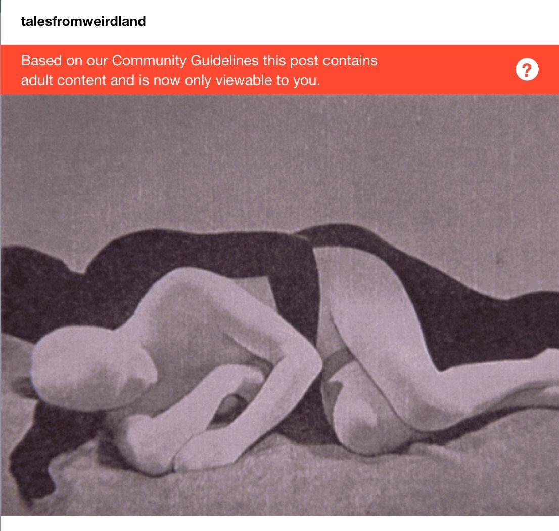 talesfromweirdland: Because there is no option to appeal some of my incorrectly flagged