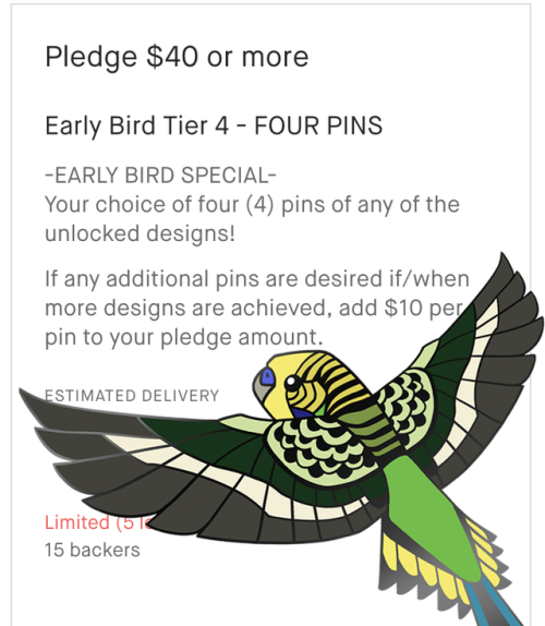 There’s still early bird tiers for the Sky of Jewels Series III pet birds Kickstarter!! Swoop 