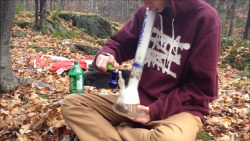 weedblogandcoolshit:  Pure Glass bong rips