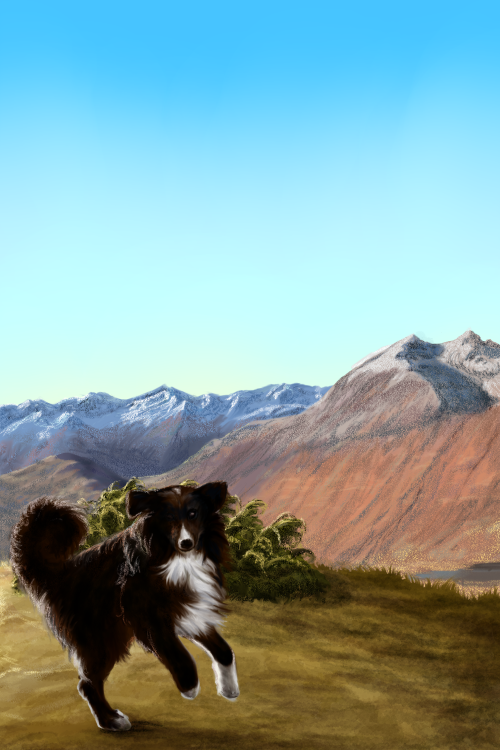 usuallysublimepenguin:Another dog portrait for one of my coworkers. This is her Nero, somewhere near