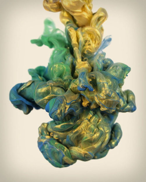 lovelylittlebear:High-Speed photographs of ink dropped into water.