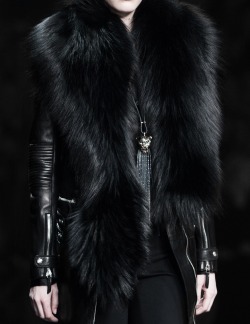 130186:  Roberto Cavalli Fall 2014 