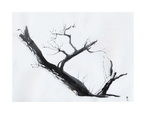 Tree Sketch