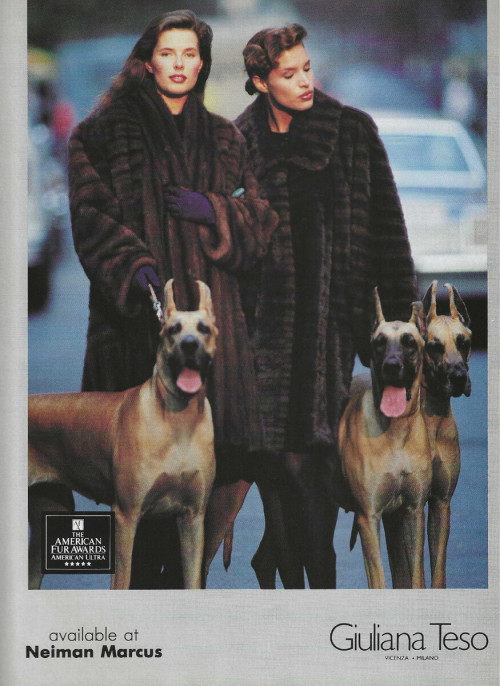 Giuliana Teso Fall1988