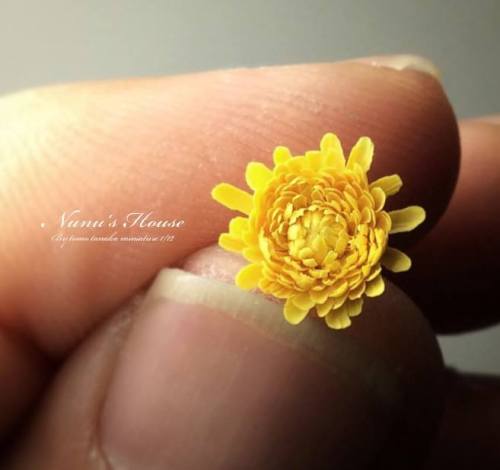 thatfilthyanimal:  archiemcphee:Today the Department of Miniature Marvels is marveling at the exquisitely detailed creations of Japanese miniature artist Tomo Tanaka. Since 2002 he’s been creating 1/12 scale miniature versions of all sorts of food and