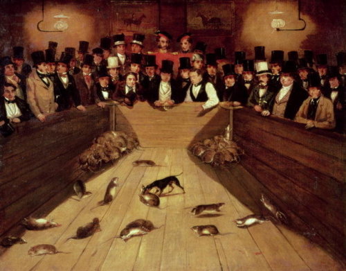 Rat-baiting was a blood-sport people gambled on in the 19th century, where, in a rat pit, a terrier 