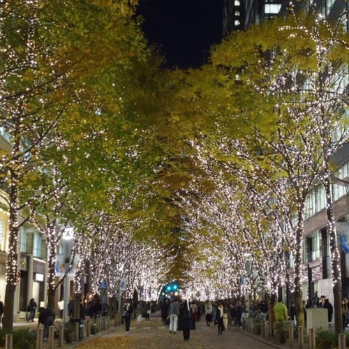 キラキラ☆ #丸の内イルミネーション #イルミネーション #街路樹 #夜景 #丸の内 #東京 #illumination #nightview #cityscape #street #marunouc