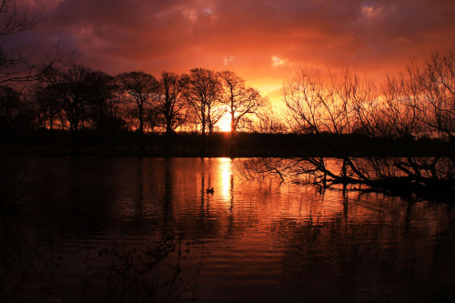 A Winter’s Sunrise