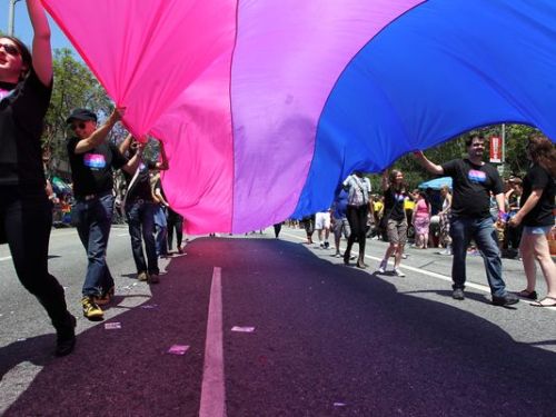 bi-trans-alliance:  September 20-26 is Bi Awareness Week September 23 is Bi Visibility Day  We have a flag and I had no idea!!