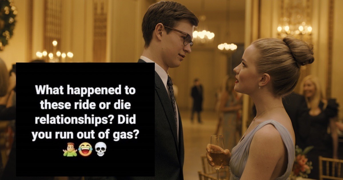 The Goldfinch — francisabernasty: The Goldfinch + incorrect...