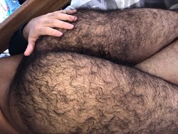 petitcul90: strongbearsbrsp: NEW PROFILE