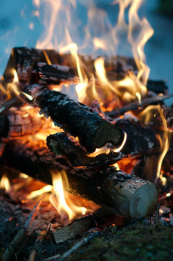 brutalgeneration:  Campfire in winter by