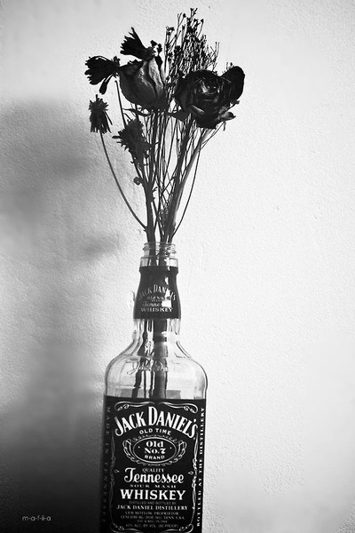 B &amp; W blog, following back    