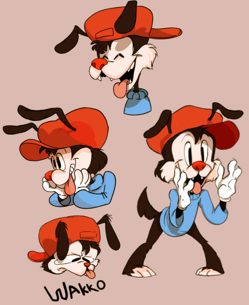 Wakko drawings!!