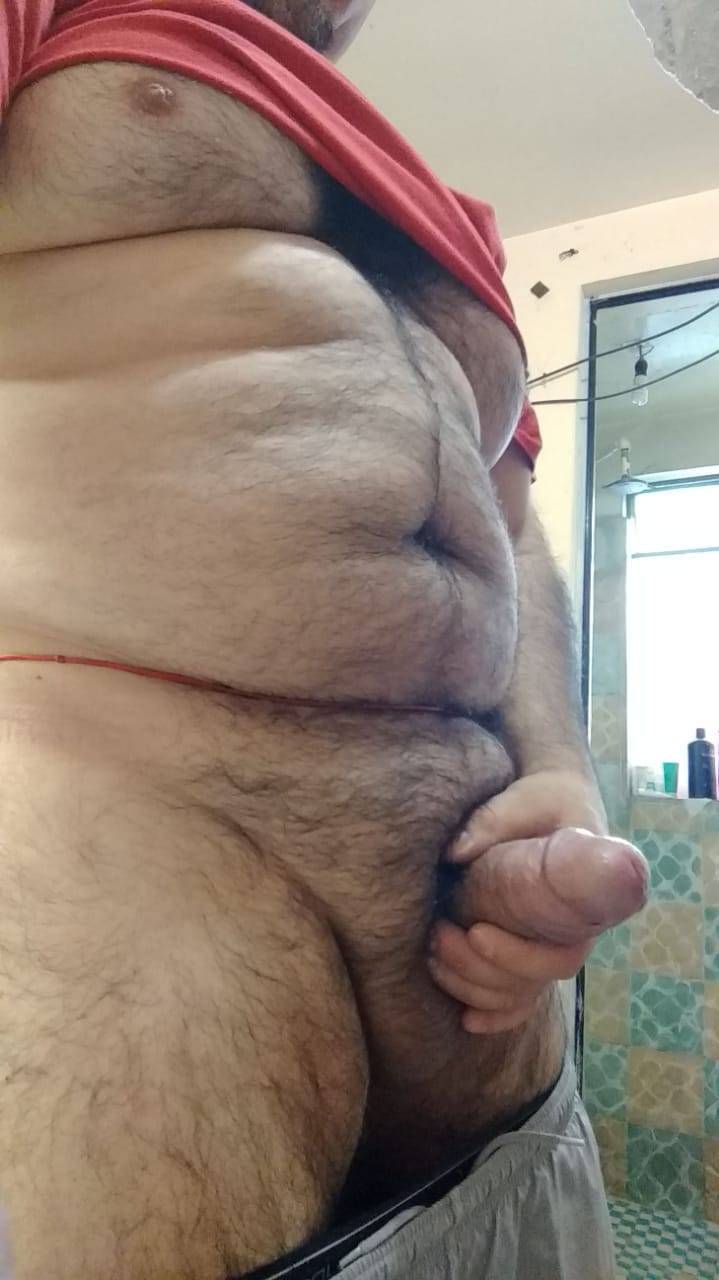stallionbear: