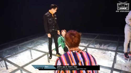 ravi: come here pet !angry puppuhh…curious kittenor a hamster?