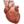 Cardiopoetica