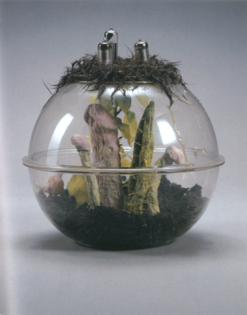arensbergarchive:TETSUMI KUDO Cultivation of Nature - People Who are Looking At It, 1970-71