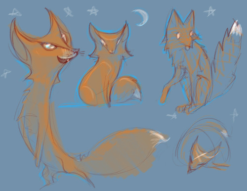 different kinds of foxes