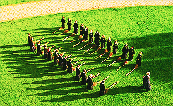 rosereturns:  harry potter meme: three colors → green (2/3) 