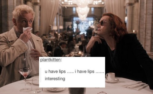 birdwithoutbones:good omens + tumblr text posts