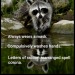 googleme420: