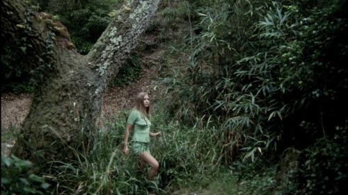 ladamarossa: Left: X (2022) Right: A Virgin Among the Living Dead (1973)