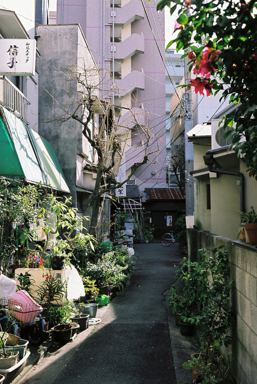 Ikegami, Tokyo, JapanRollei 35 T (Tessar 40mm f/3.5)Fujicolor Pro 160cBy : Jun Takeuchi