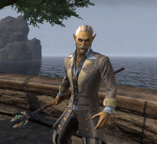 made a fun lil gay elf man in elder scrolls online and the second i can make my brain do art im gonn