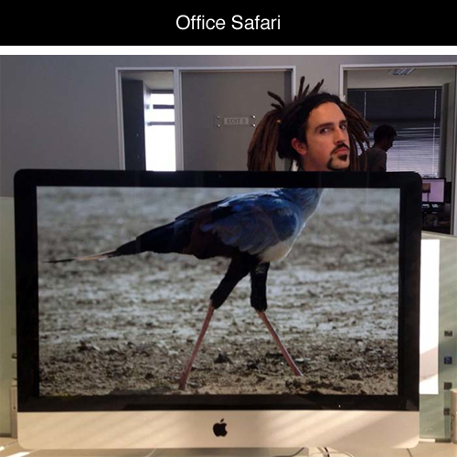 Porn photo tastefullyoffensive:  Office Safari by Mike
