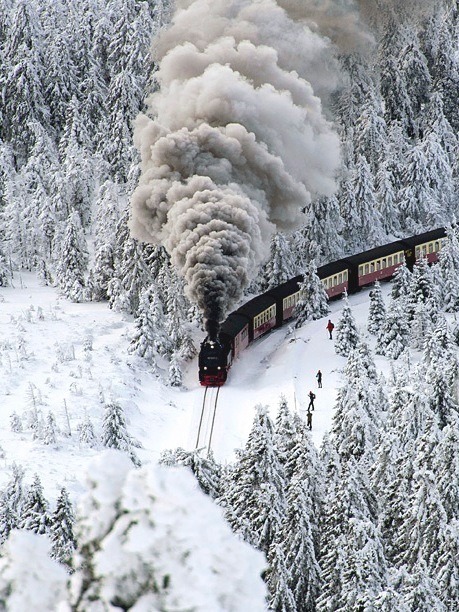 bluepueblo:  Snow Train, Wernigerode, Germany photo via yahoo