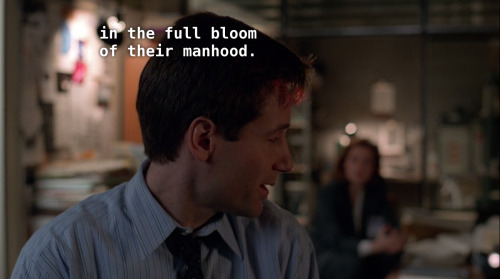 cinemastillz: sometimes mulder just says things 