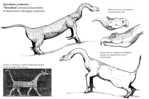Illustrations of two types of “sirrushim”, strange vertebrate-analogue animals desc