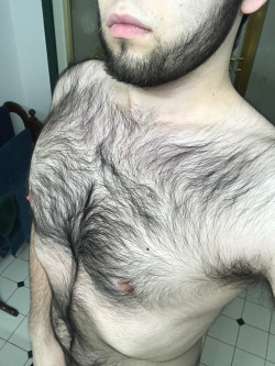 hairy-males:Thought I’d show off what I’ve