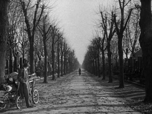 carmelasoprano - The Third Man (1949), dir. Carol Reed