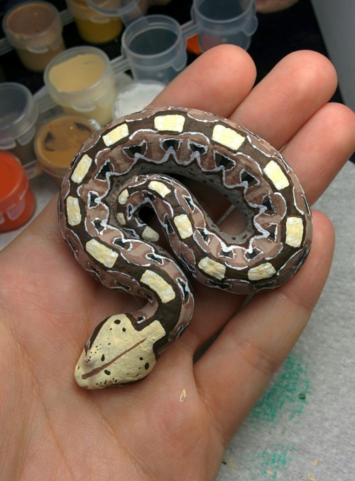 rate-my-reptile: customexotics: I can’t put to words how much I love this little guy, the face