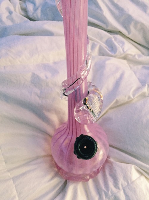 I am screaming over how adorable my new bong is.😭💕