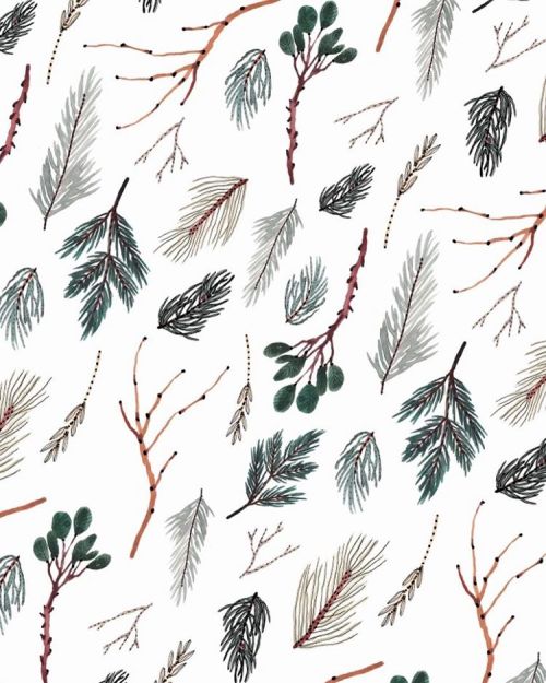 boccaccinimeadows:
“Some pine patterns collected from the California forests 🌲 #patterns in #nature (at Lake Tahoe, CA)
”